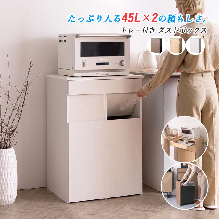 ゴミ箱 隠せる 45リットル 分別 カウンター ダストボックス 45L 2連