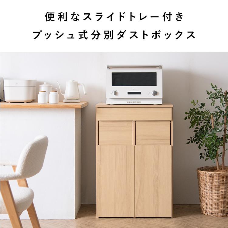 ゴミ箱 隠せる 45リットル 分別 カウンター ダストボックス 45L 2連