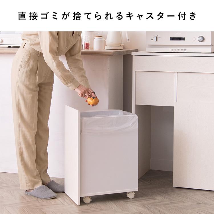 ゴミ箱 隠せる 45リットル 分別 カウンター ダストボックス 45L 2連