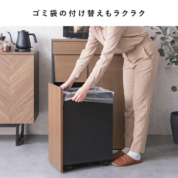 ゴミ箱 隠せる 45リットル 分別 カウンター ダストボックス 45L 2連