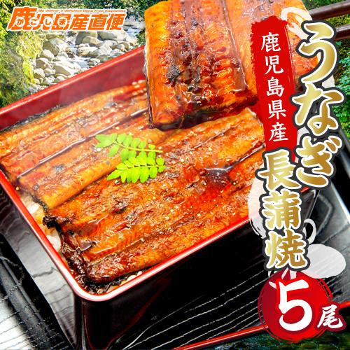 国産 うなぎ 蒲焼き 大容量 5尾 鹿児島県産 送料無料 ギフト