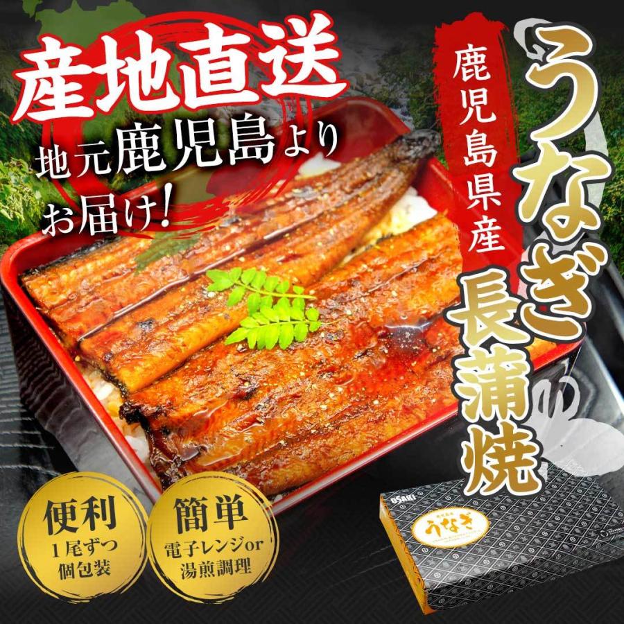 国産 うなぎ 蒲焼き 大容量 5尾 鹿児島県産 送料無料 ギフト_1