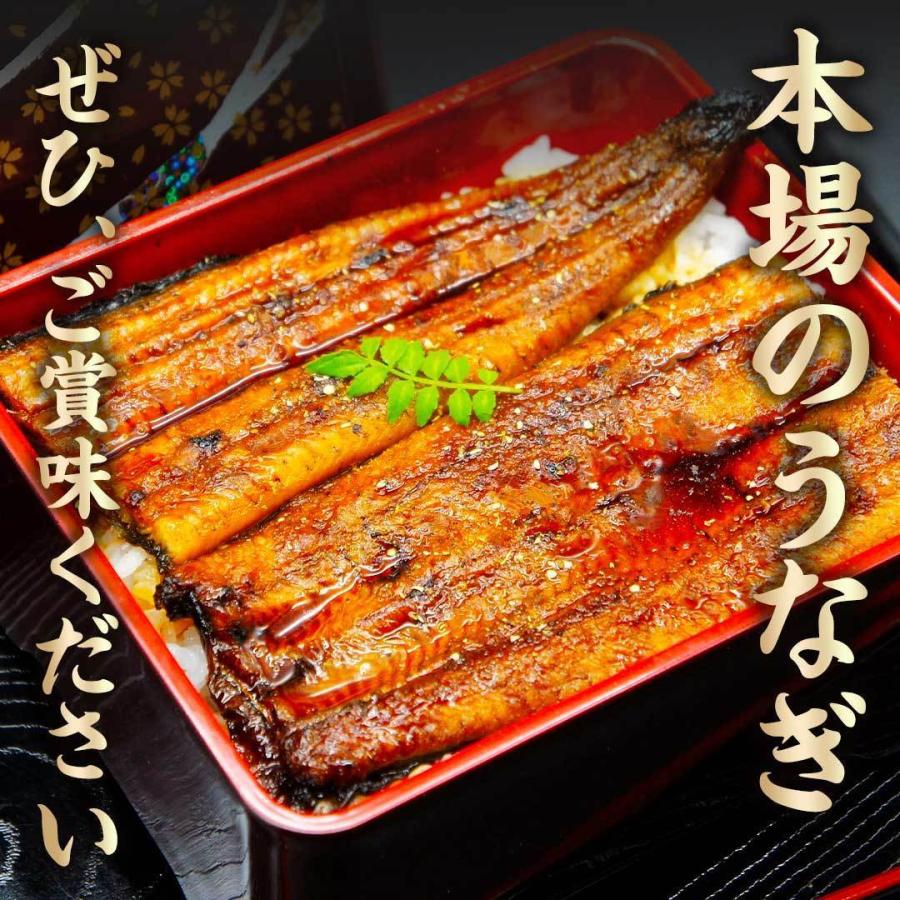 国産 うなぎ 蒲焼き 大容量 5尾 鹿児島県産 送料無料 ギフト_14
