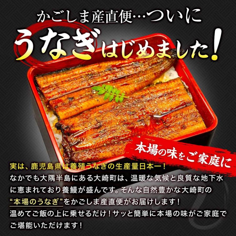 国産 うなぎ 蒲焼き 大容量 5尾 鹿児島県産 送料無料 ギフト_2