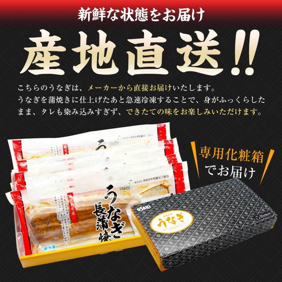 国産 うなぎ 蒲焼き 大容量 5尾 鹿児島県産 送料無料 ギフト_3