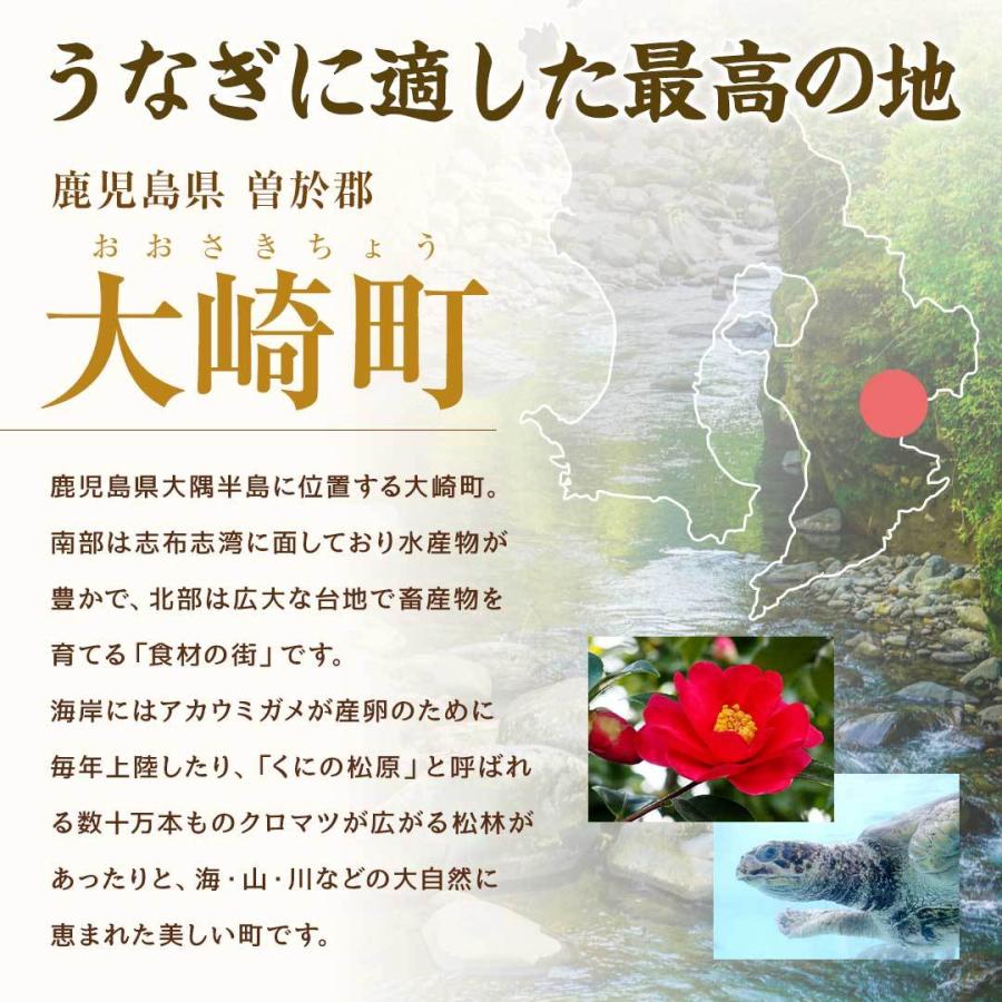 国産 うなぎ 蒲焼き 大容量 5尾 鹿児島県産 送料無料 ギフト_4