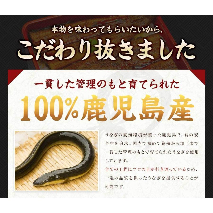 国産 うなぎ 蒲焼き 大容量 5尾 鹿児島県産 送料無料 ギフト_5