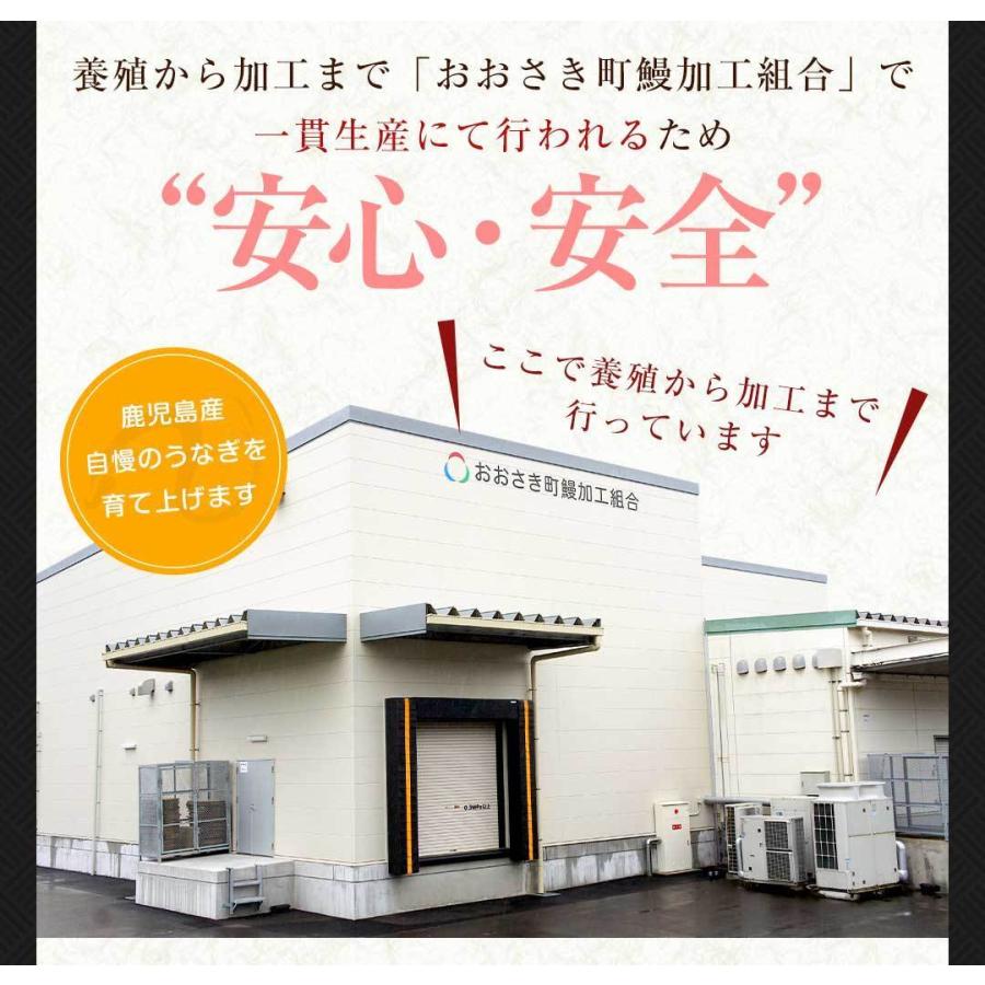 国産 うなぎ 蒲焼き 大容量 5尾 鹿児島県産 送料無料 ギフト_6