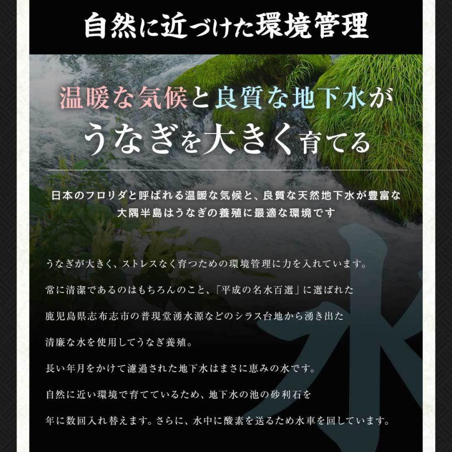 国産 うなぎ 蒲焼き 大容量 5尾 鹿児島県産 送料無料 ギフト_7