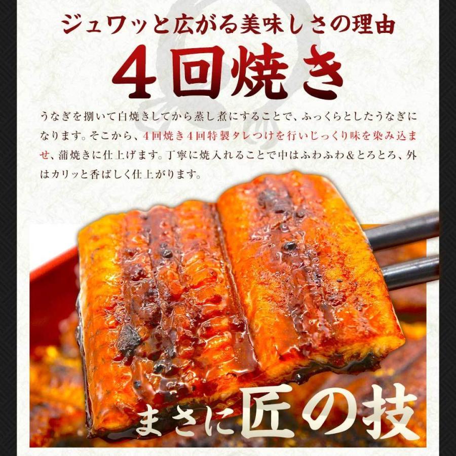 国産 うなぎ 蒲焼き 大容量 5尾 鹿児島県産 送料無料 ギフト_8