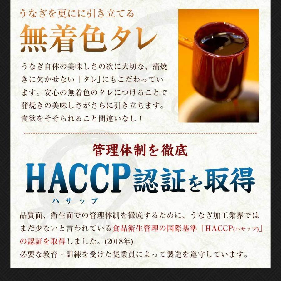 国産 うなぎ 蒲焼き 大容量 5尾 鹿児島県産 送料無料 ギフト_9
