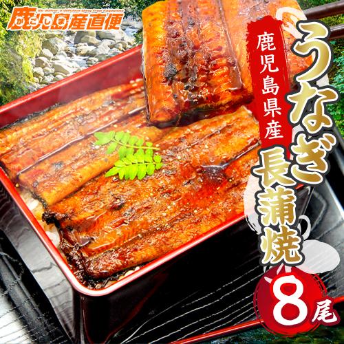 国産 うなぎ 蒲焼き メガ盛り 8尾 鹿児島県産 送料無料 ギフト