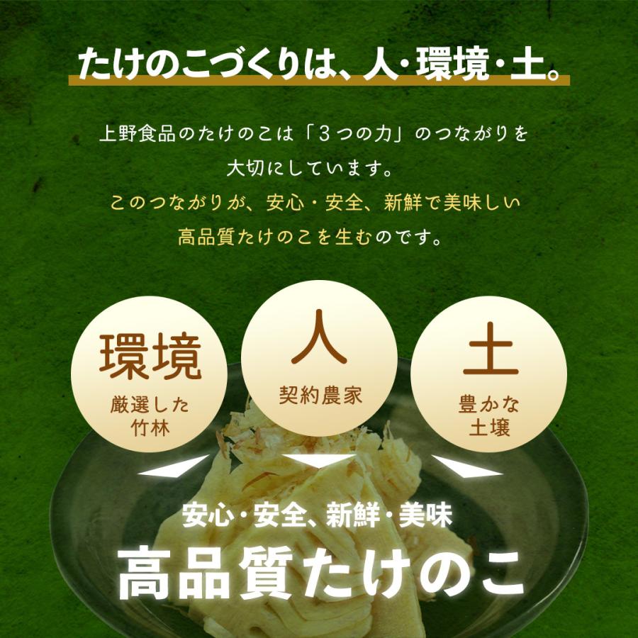 送料込み 九州産 たけのこ 竹の子 筍 水煮 トライカット 120g×5袋
