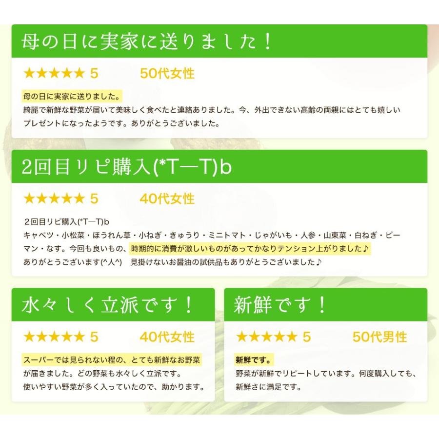 野菜セット 九州産 12品目 詰め合わせ 国産 お試し Yasai かごしま産直便 Yahoo 店 通販 Yahoo ショッピング