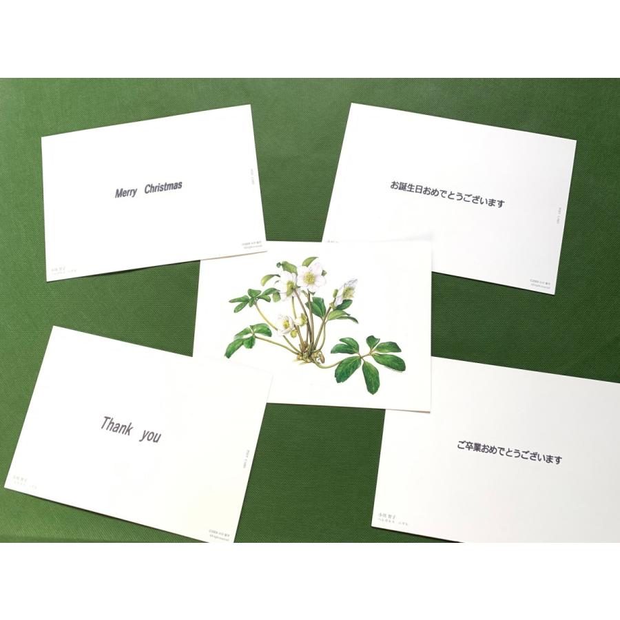 スノードロップ 花咲くハーバリウム Hbn21 花郷園 Kagoen Nursery 通販 Yahoo ショッピング