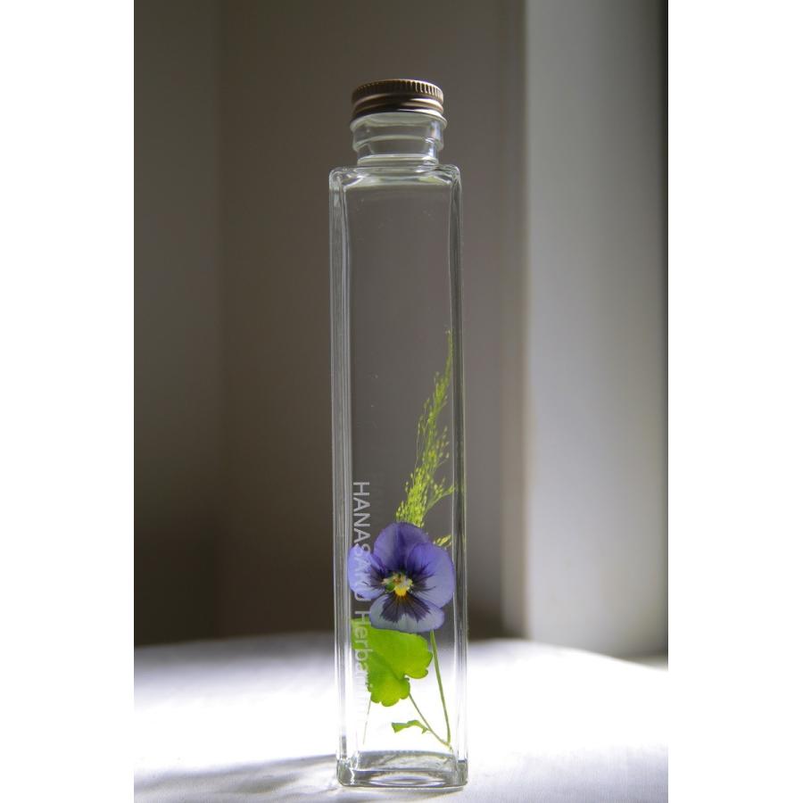 花咲くハーバリウム ビオラ 98 : 花郷園 KAGOEN NURSERY - 通販