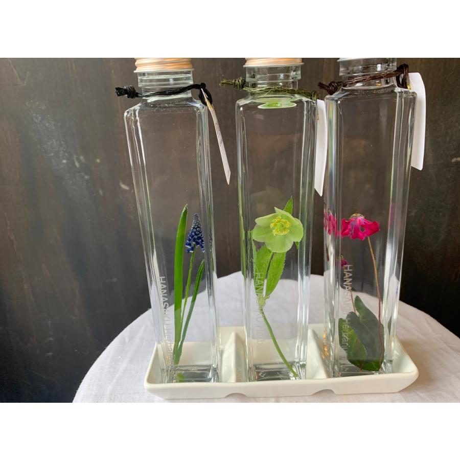 限定製作 花咲くハーバリウム クリスマスローズ 2本の花 3本セット花 ガーデニング ハーバリウム 正規激安 Www Cepici Gouv Ci