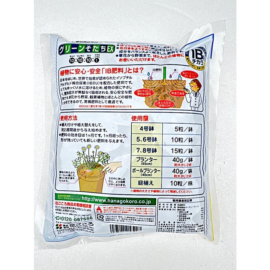 肥料 IBのチカラ グリーンそだちEX 500g : 花郷園 KAGOEN NURSERY