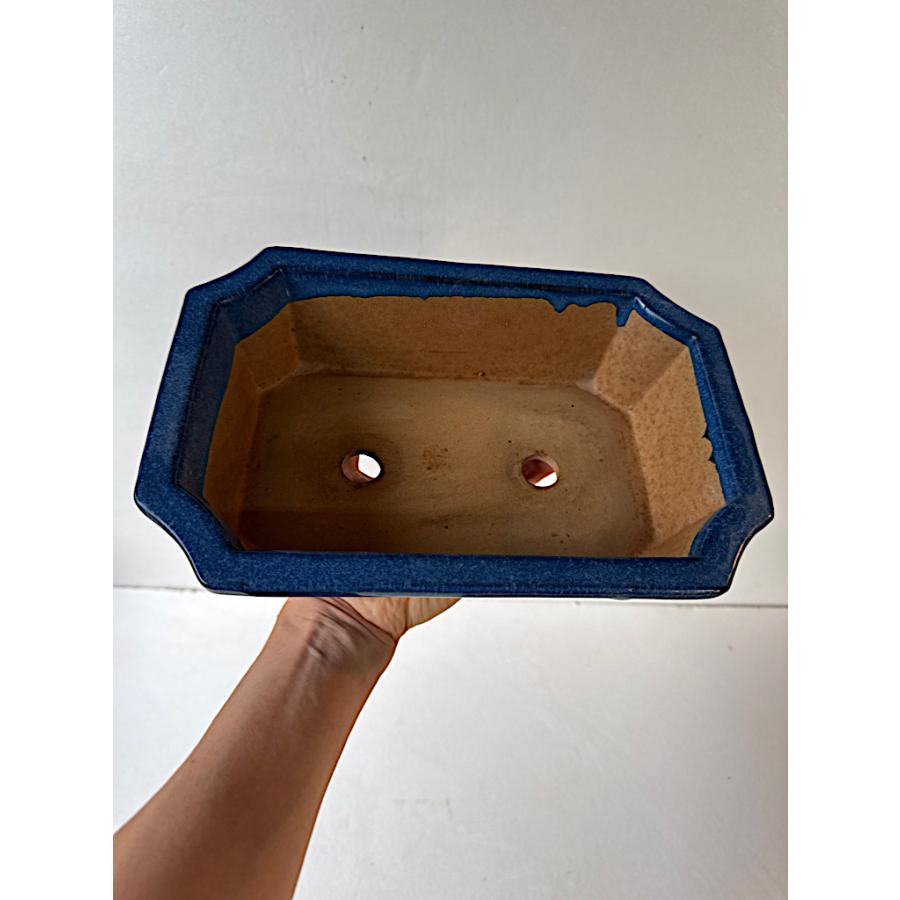 盆栽鉢 : 花郷園 KAGOEN NURSERY - 通販 - Yahoo!ショッピング