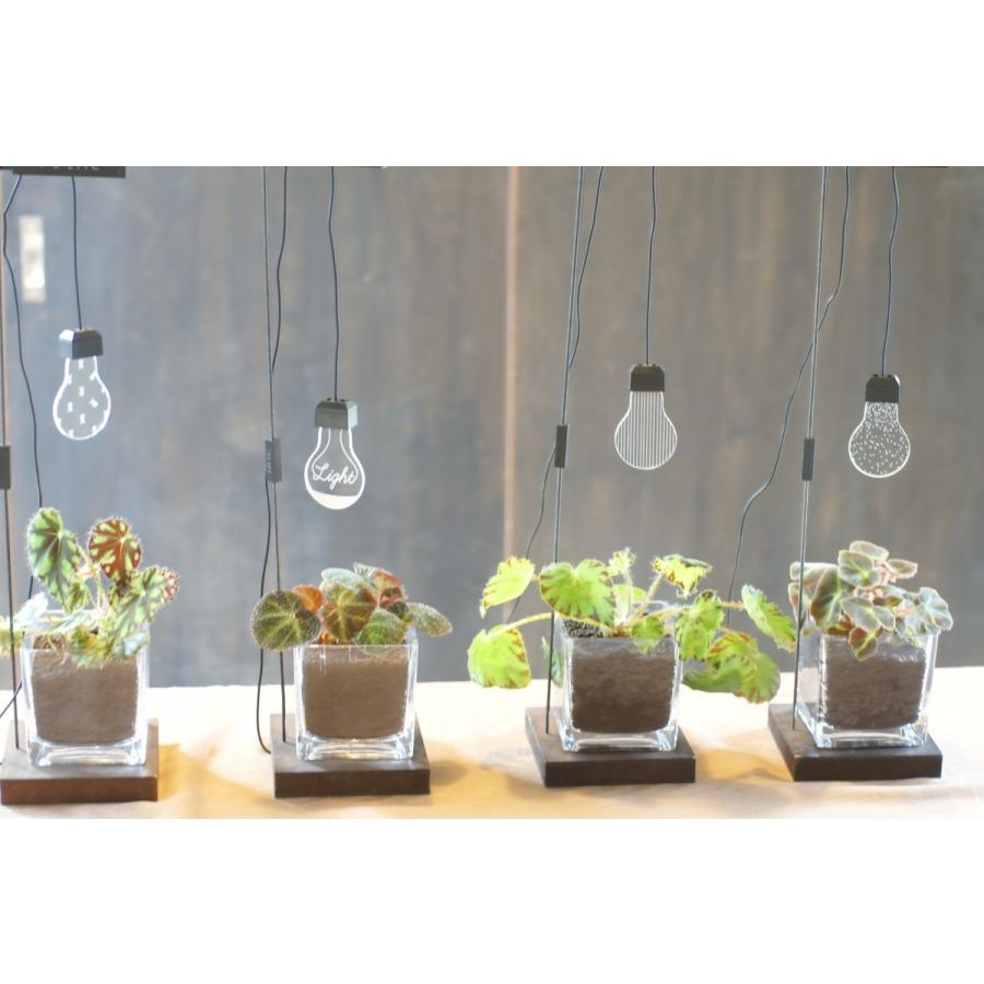 植物育成ライト ルーチェ ｌｉｇｈｔ 花 ガーデニング その他花 ガーデニング 4101 Lc1 花郷園 Kagoen Nursery 通販 Yahoo ショッピング