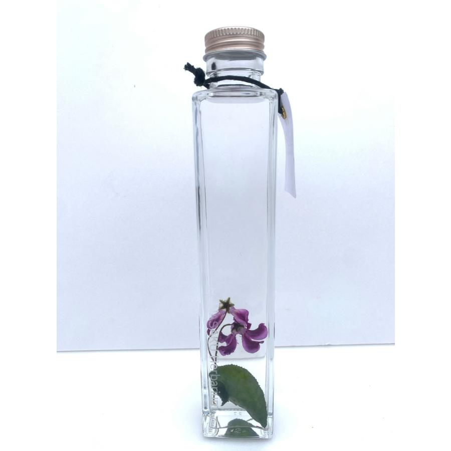 花咲くハーバリウム シクラメン 502 : 花郷園 KAGOEN NURSERY - 通販