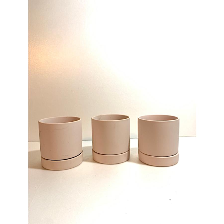 4519hiroページです。画像の鉢３枚 flower-net_z240729001