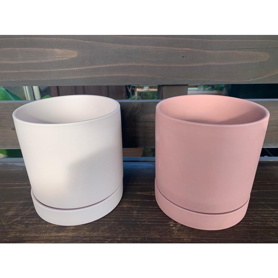 ブラウンピンク 素焼き鉢 直径12センチ Pot1 花郷園 Kagoen Nursery 通販 Yahoo ショッピング