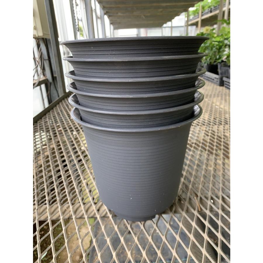 プラスチック７号鉢 6個セット 庭 ガーデニング 鉢 プランター 植木鉢 4053 Pt11 花郷園 Kagoen Nursery 通販 Yahoo ショッピング