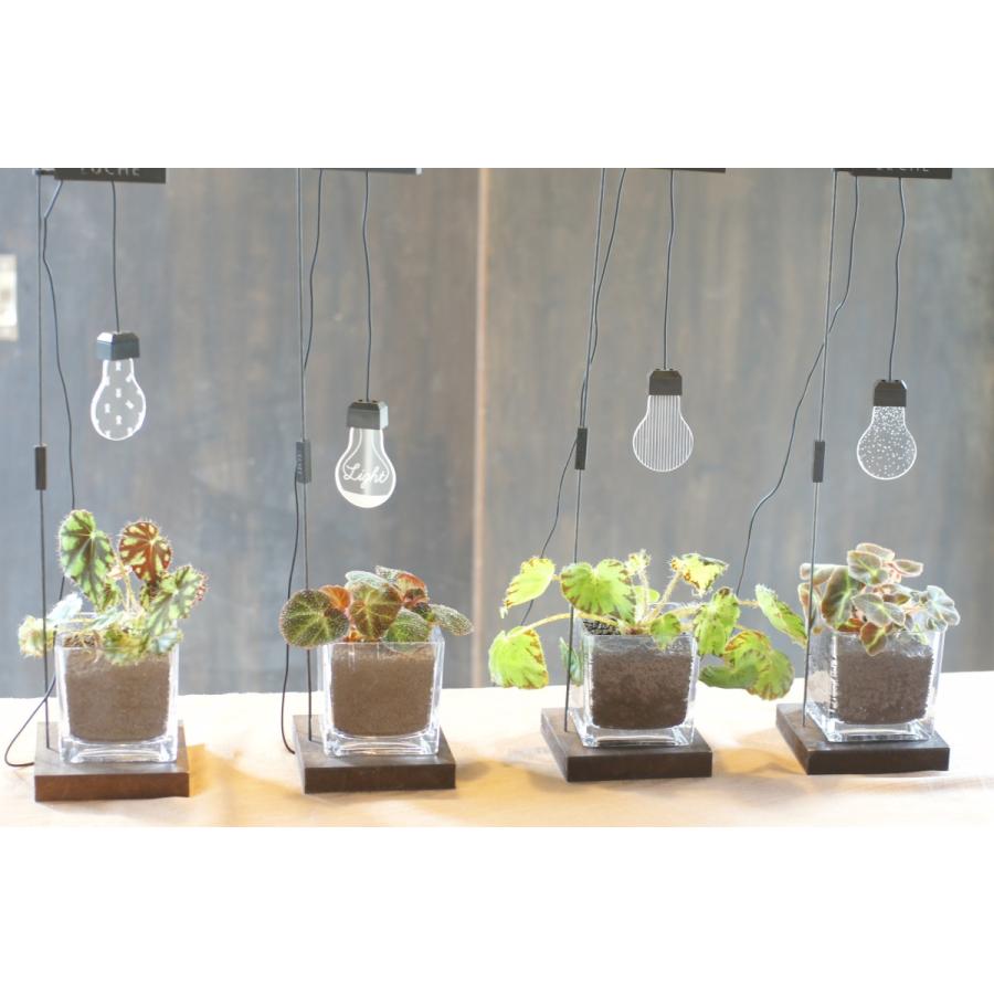 ガラス鉢　3個セット ガラス鉢 3個セット モダンカットのガラス小鉢 3個セット GUS319