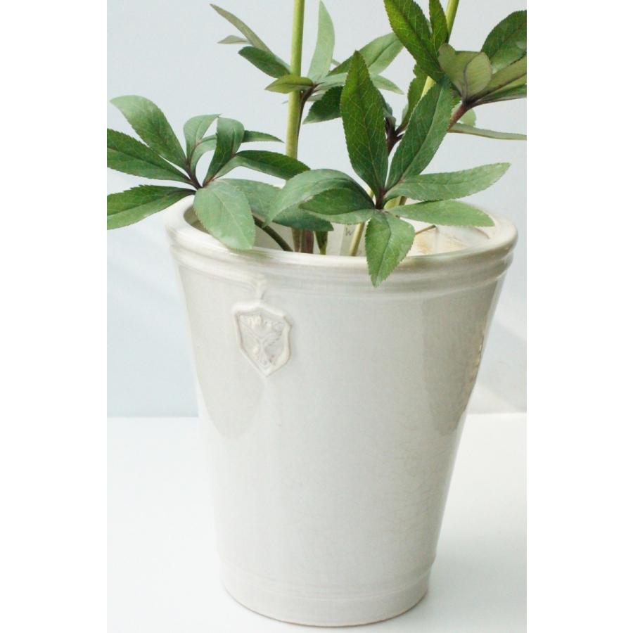 陶器鉢 植木鉢 クリスマスローズ Rose de Noel parfaite (5号 陶器鉢 植木鉢 クリスマスローズ Rose de Noel parfaite (5号