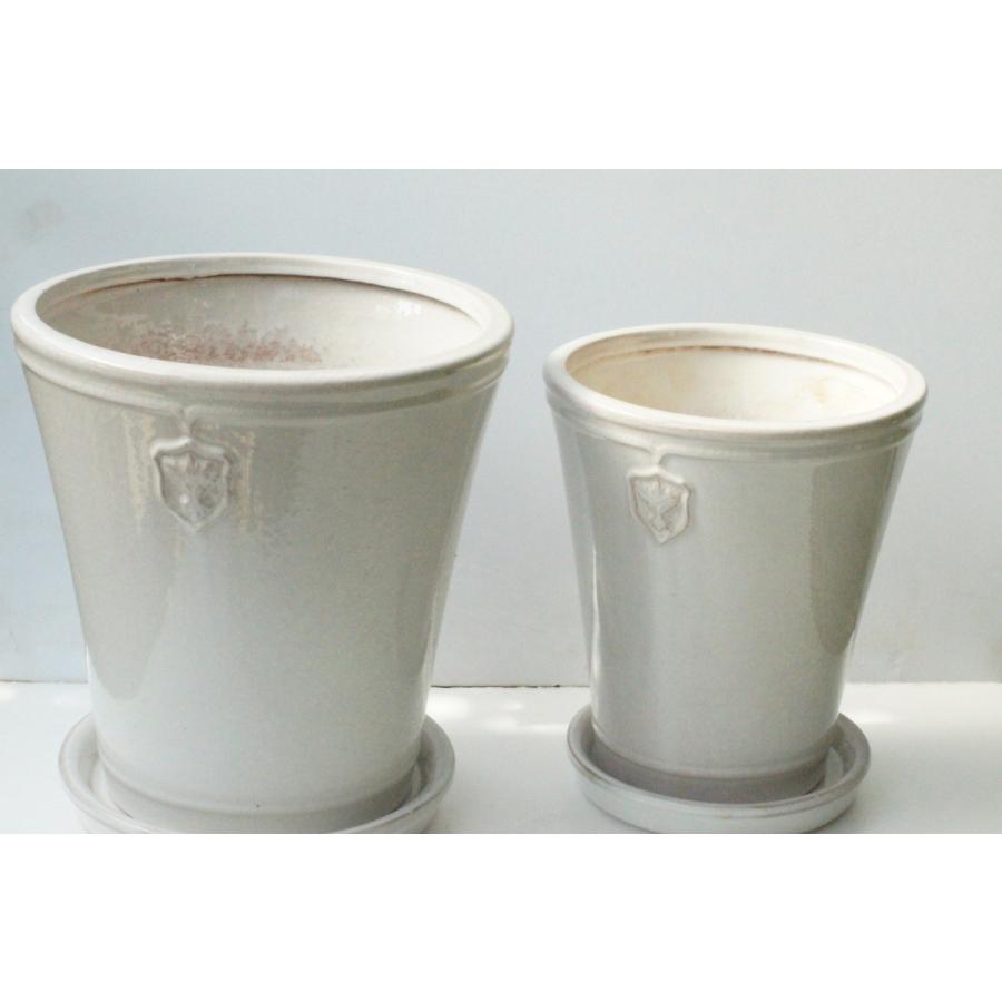 白い陶器鉢　”Rose de Noel Parfaite”　７号Lサイズ｜kagoen-nursery｜04