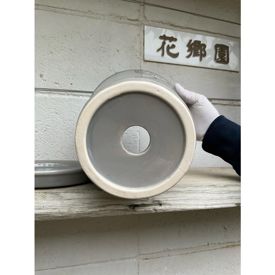 陶器鉢 植木鉢 【グレー/Lサイズ 7号】 Rose de Noel Parfaite