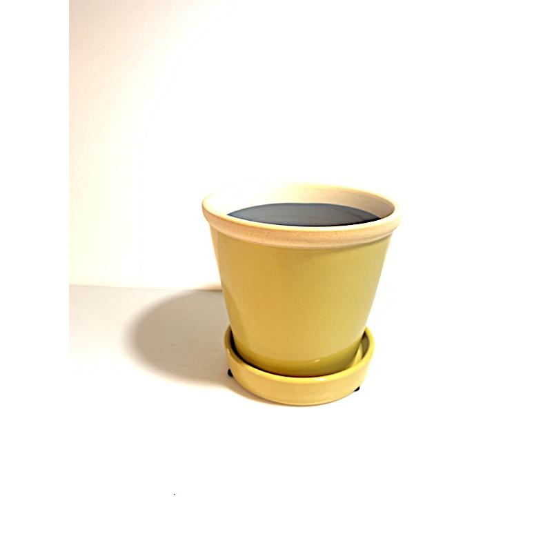 陶器鉢　グロッシーポット　ミモザ　３号（Yahoo!・花郷園 KAGOEN NURSERY）