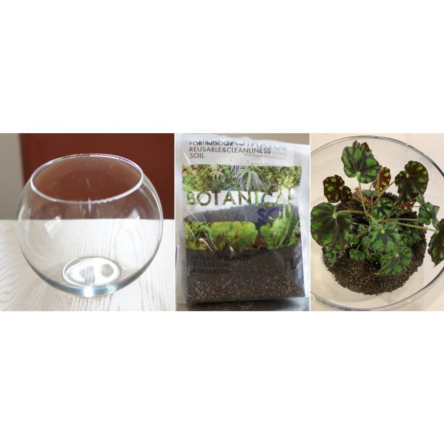 テラリウム スターターキット 花 ガーデニング 園芸用品 鉢 プランターカバー Diy 工具 庭 ガーデニング 鉢 プランター 鉢 プランターカバー 4054 Trr1 花郷園 Kagoen Nursery 通販 Yahoo ショッピング