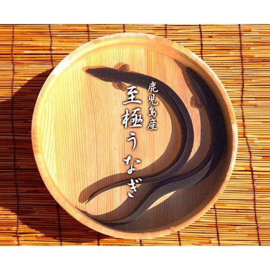 ★11時間以内発送★美品 うなぎの柳澤　５尾＜柳沢養鰻＞ 【2123918258】(11096円)