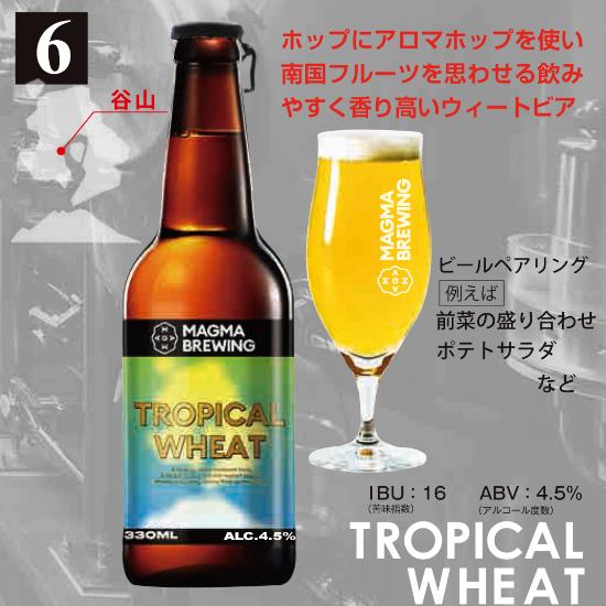 クラフトビール6本セット＜MAGMABREWING＞ : かごしま特産品ねっと