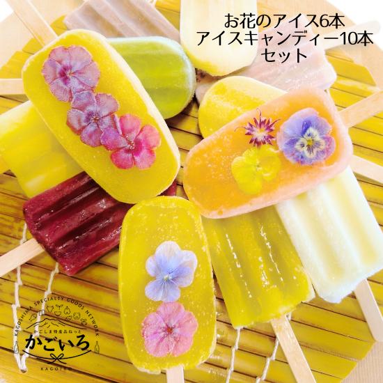 しらたま 【大×6本セット】肉球アイスキャンディー ディズニー【ピンク