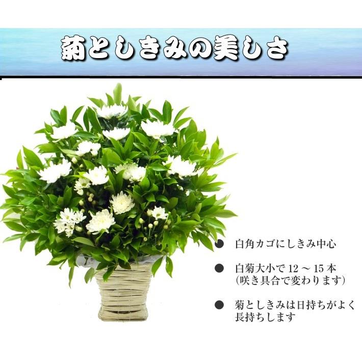 一対セット お供え お悔やみ 花 仏花 菊 しきみ アレンジ(大) 2個組
