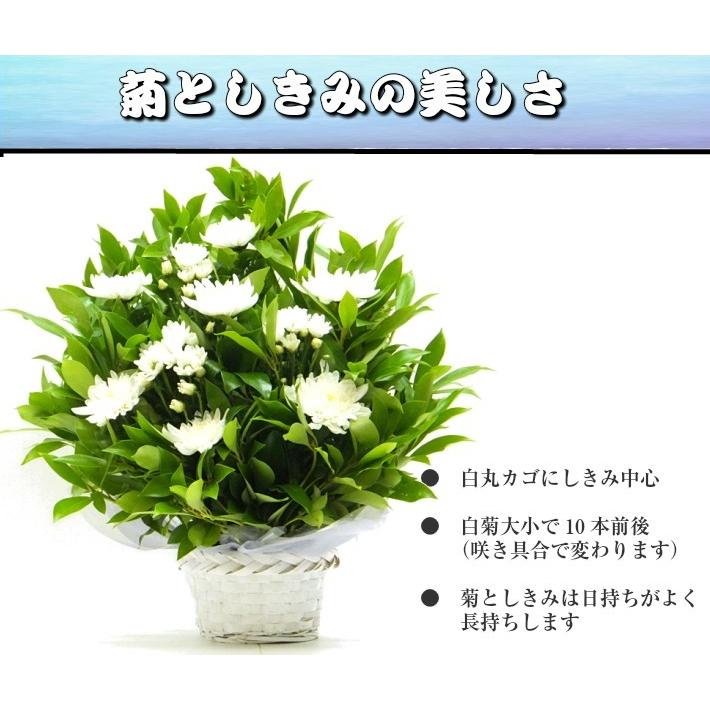 一対セット お供え お悔やみ 花 仏花 菊 しきみ アレンジ 中 四十九日 一周忌 1set Kiku Sikimi M 生花専門店 フラワーギフト花on 通販 Yahoo ショッピング