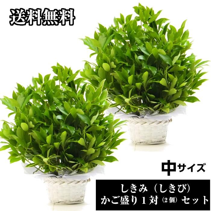 楽天市場 一対セット お供え お悔やみ 仏花 花 しきみ アレンジ 中 四十九日 一周忌 驚きの安さ Www Technet 21 Org