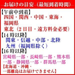 一対セット お供え お悔やみ 花 仏花 しきみ アレンジ 小 四十九日 一周忌 1set Sikimi S 生花専門店 フラワーギフト花on 通販 Yahoo ショッピング