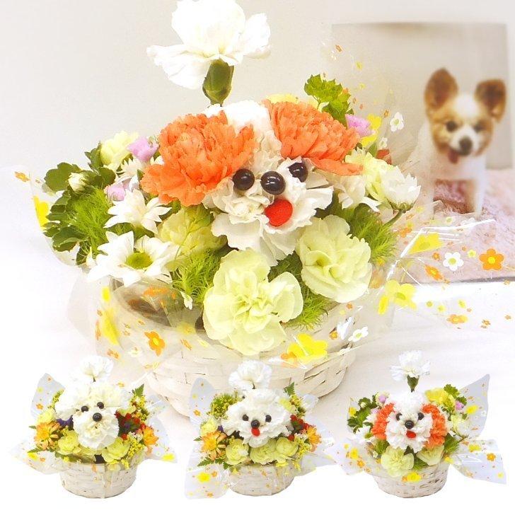 愛犬 ワンちゃん の お供え 生花アレンジメント 犬 お悔やみ Constubos Com Br