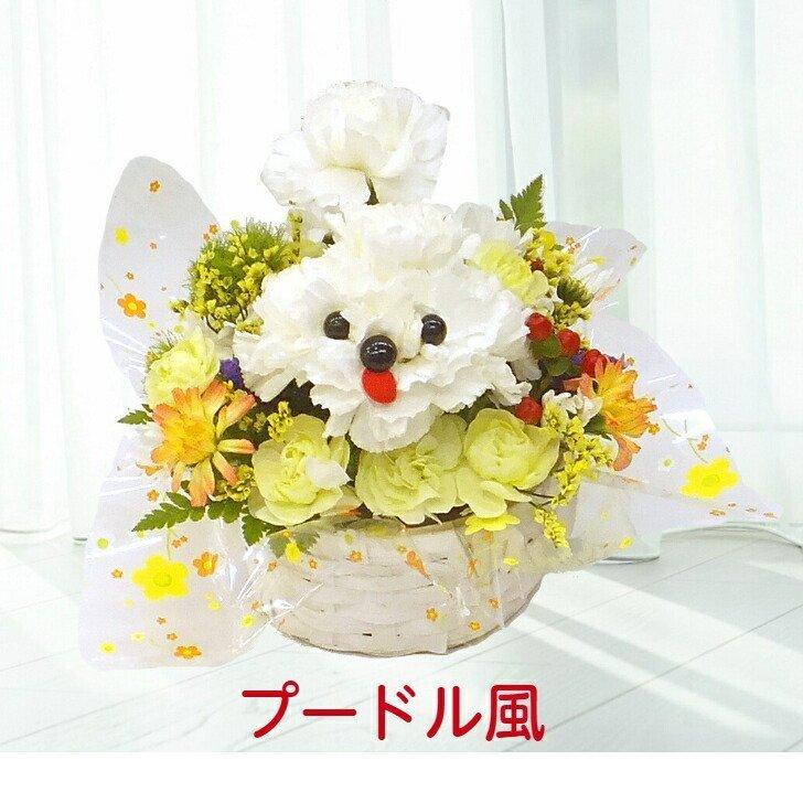 愛犬 ワンちゃん の お供え 生花アレンジメント 犬 お悔やみ Dog Osonae40 生花専門店 フラワーギフト花on 通販 Yahoo ショッピング