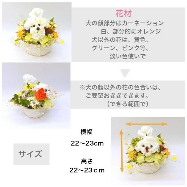 愛犬 ワンちゃん の お供え 生花アレンジメント 犬 お悔やみ Dog Osonae40 生花専門店 フラワーギフト花on 通販 Yahoo ショッピング
