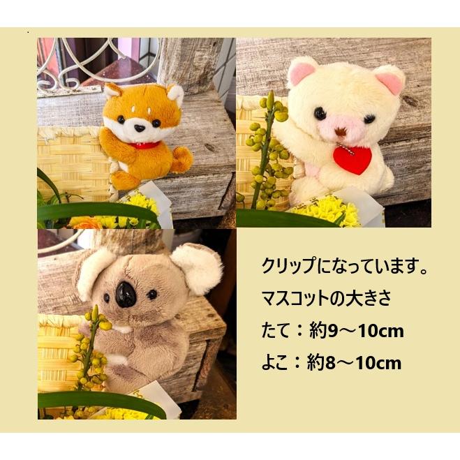 花 ギフト 誕生日 プレゼント フラワーアレンジ ふくろう いぬ パンダ グリーンフィールド |  | 04