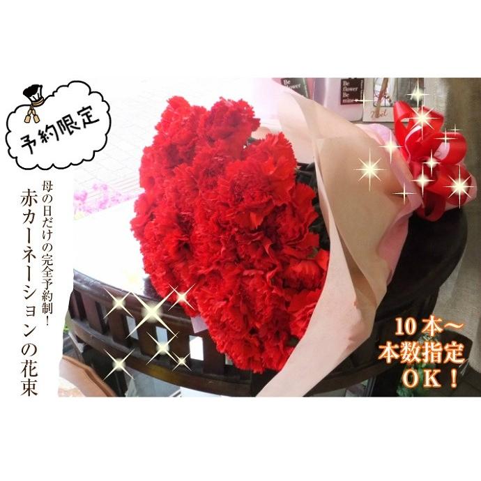 母の日 21 花 ギフト 赤 カーネーション 花束 10本から本数指定 送料無料 H1 Carnation 生花専門店 フラワーギフト花on 通販 Yahoo ショッピング