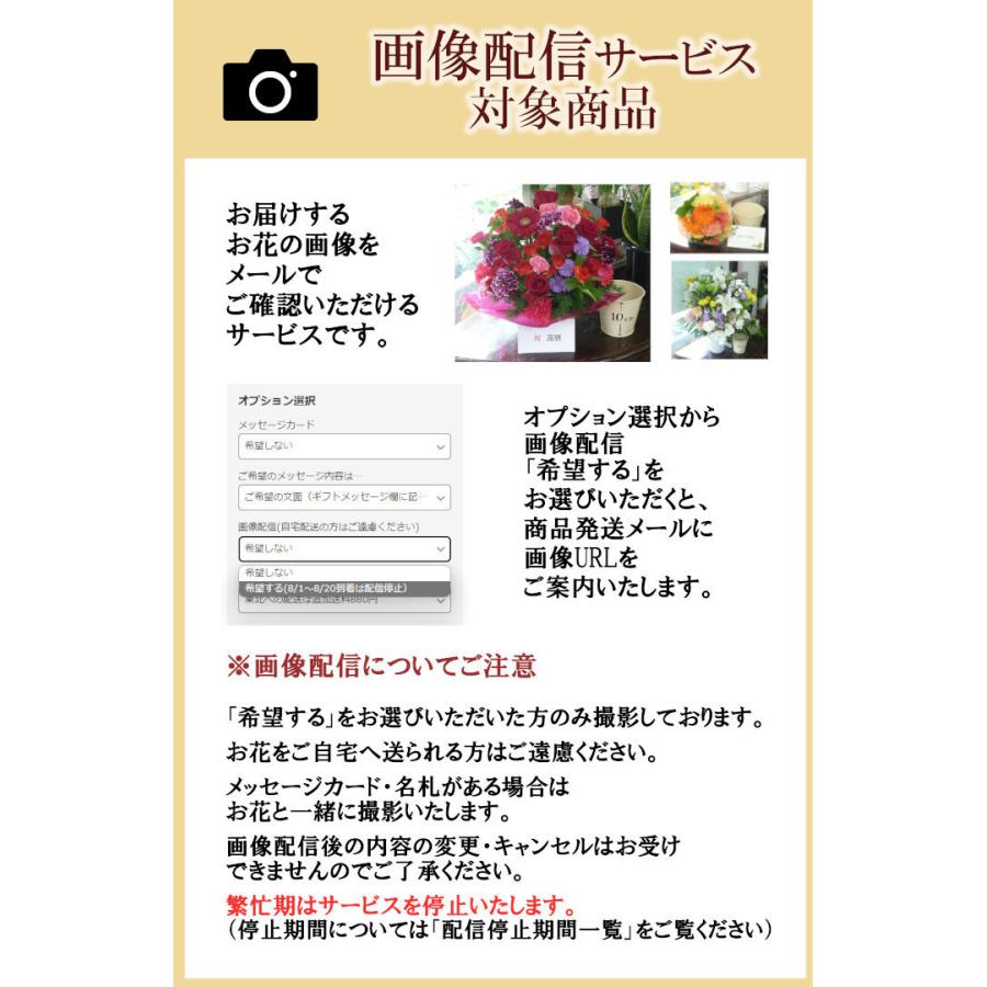 最新入荷 一周忌 法要 花 お供え お悔やみ 喪中見舞い アレンジメント M 四十九日 三回忌 Aynaelda Com
