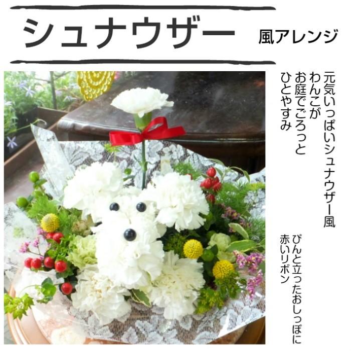 花 誕生日 プレゼント プードルアレンジ チワワ シーズー シュナウザー