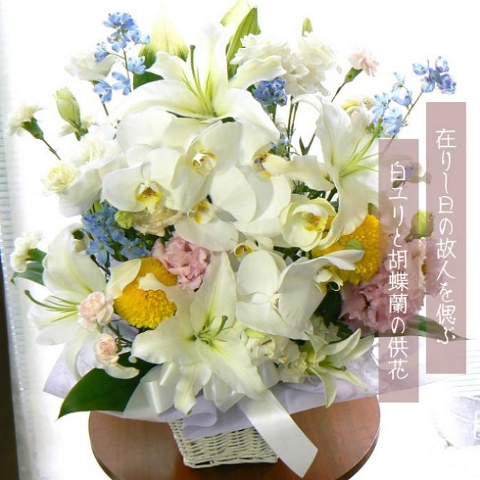 胡蝶蘭 お供え お悔やみ 法事 命日 献花 生花アレンジメント Ran Osonae1 生花専門店 フラワーギフト花on 通販 Yahoo ショッピング