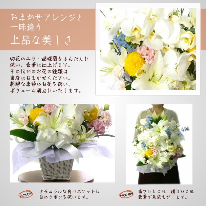 胡蝶蘭 お供え お悔やみ 法事 命日 献花 生花アレンジメント Ran Osonae1 生花専門店 フラワーギフト花on 通販 Yahoo ショッピング